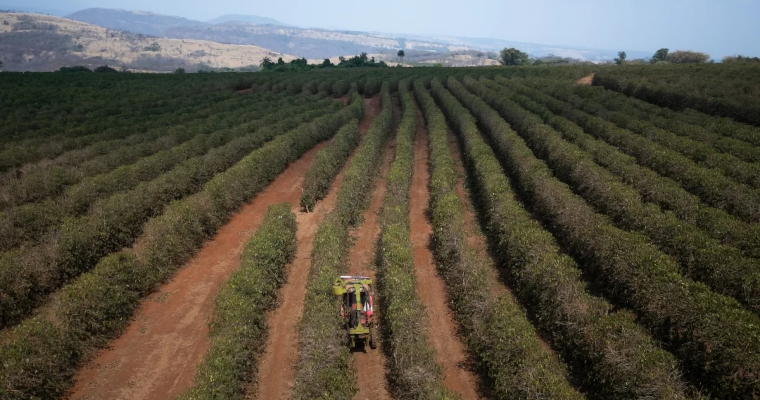 Conozca cómo va la revolución tecnológica de la agricultura de precisión en Colombia