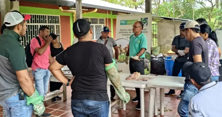 Arauca apuesta por la inseminación artificial para revolucionar su hato ganadero