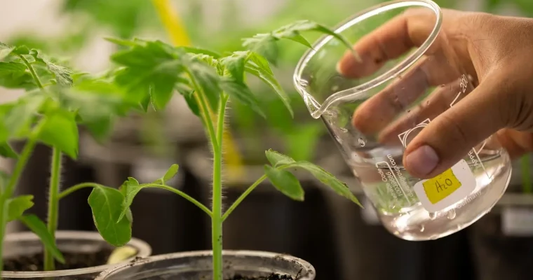 Pacho, Cundinamarca, vive la transformación rural con ExpoAgrosavia