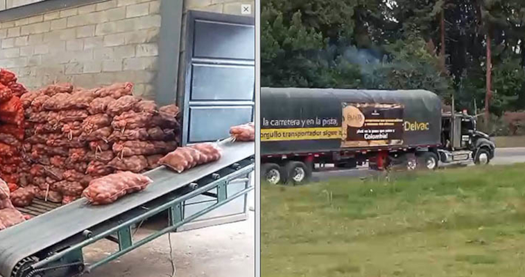 Gobierno inicia compra pública de papa para apoyar a productores y fortalecer la seguridad alimentaria