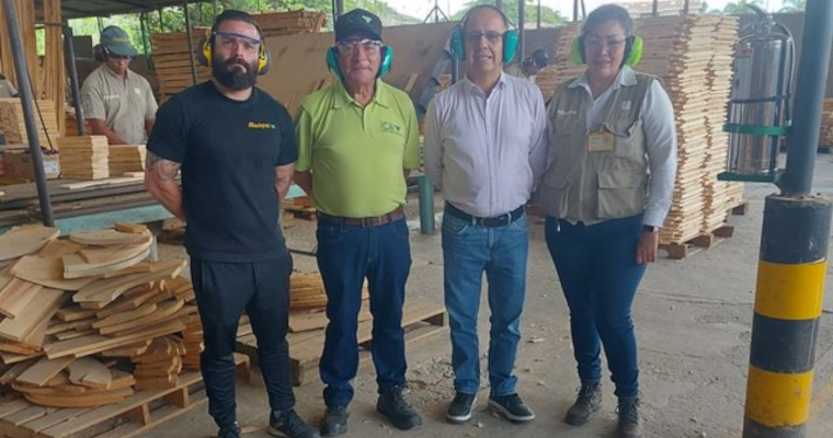 ICA Valle del Cauca fortalece control y seguimiento fitosanitario a embalajes de madera bajo la NIMF 15