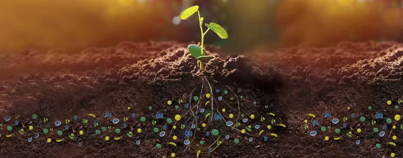 5 microbios que toda finca necesita para mejorar la productividad sin gastar de más
