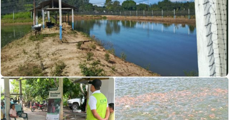 El ICA impulsa la acuicultura biosegura en Arauca