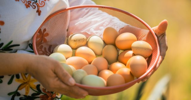 El huevo colombiano llegará a Estados Unidos