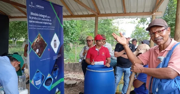 Curso semipresencial Promotoría campesina para la producción sostenible de ganado ovino caprino