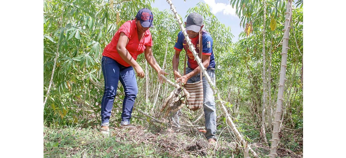 noticias_MINAGRICULTURA