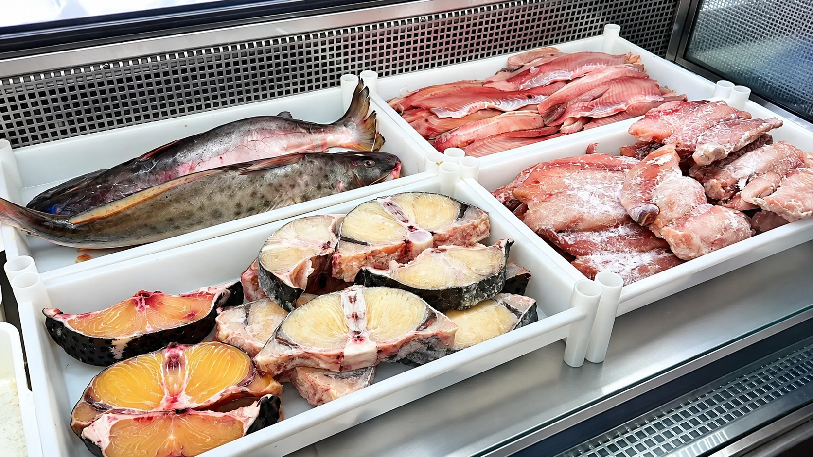 Pescado fresco de rio como: bagre rayado, bagre amarillo, bocachico, palometa, Nicuro, cachama y mojarra