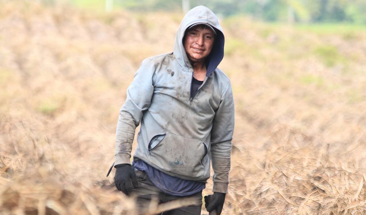 noticias_MINAGRICULTURA
