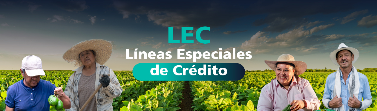 NOTICIAS_FINAGRO