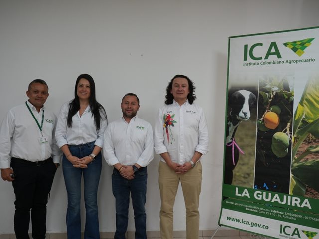 noticias_ICA