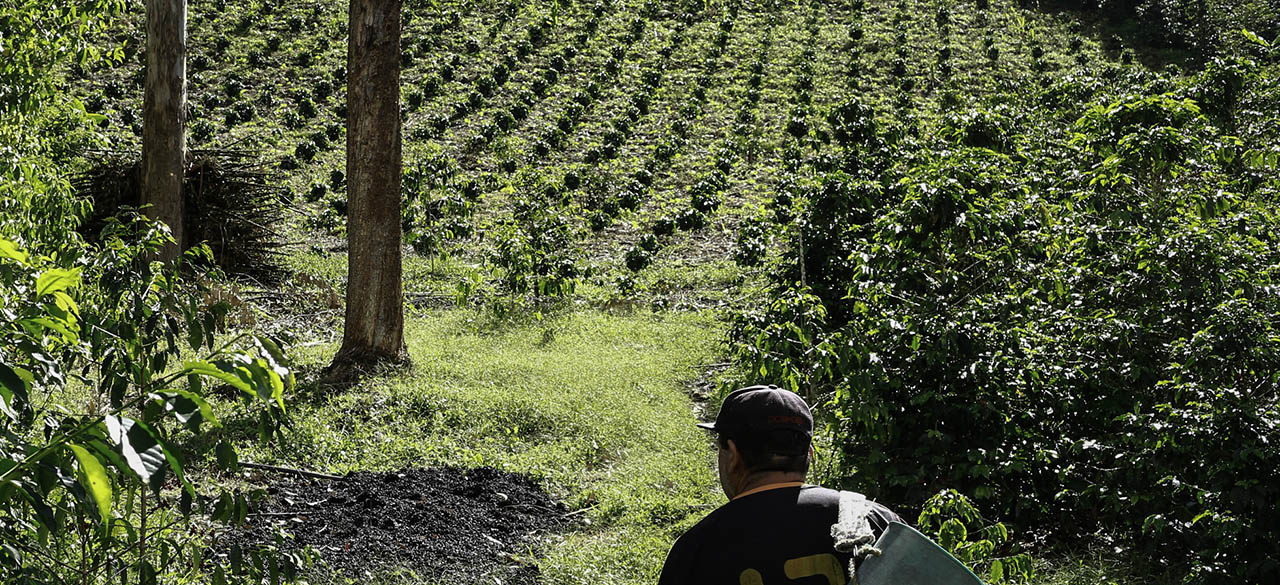 noticias_MINAGRICULTURA