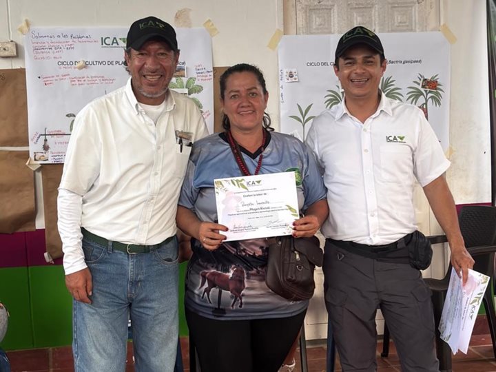 NOTICIAS_ICA