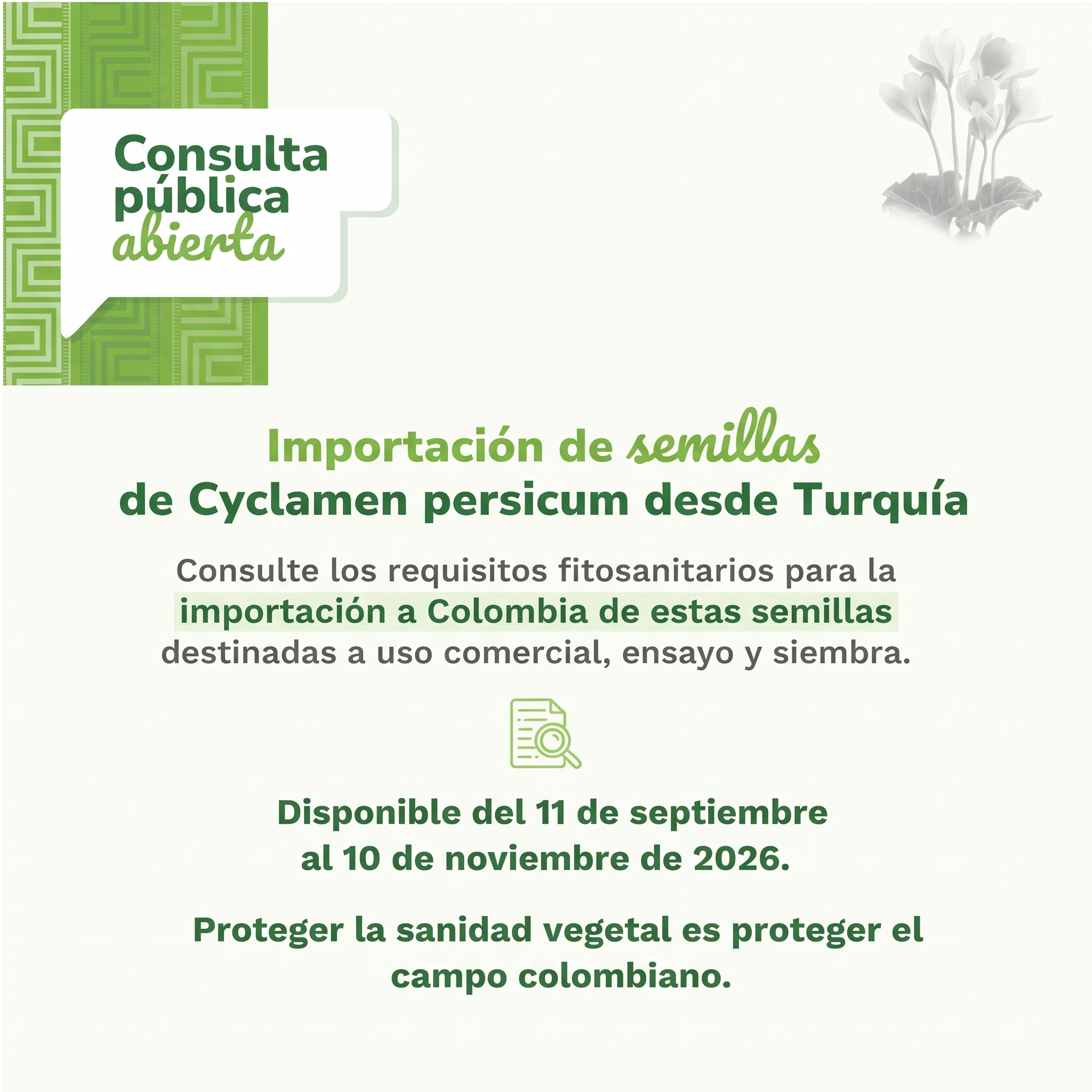 NOTICIAS_DNP