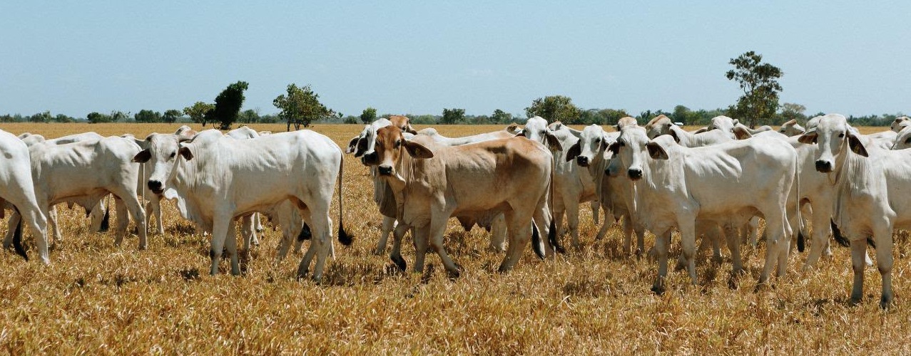 NOTICIAS_MINAGRICULTURA