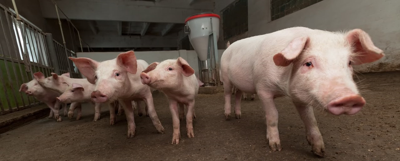 NOTICIAS_MINAGRICULTURA