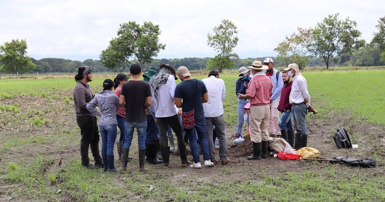 Sáquele el mayor rendimiento al suelo