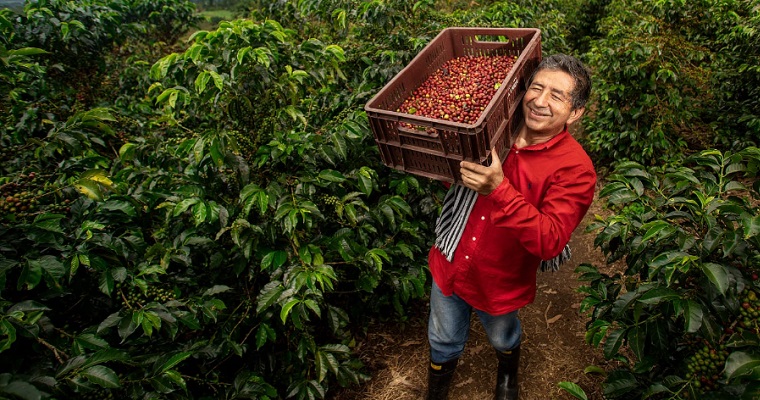 En agosto bajaron los precios del arroz y algunas frutas como naranja sweet, banano criollo, mandarina común, guanábana y guayaba