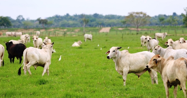 La UPRA y el Departamento de Vichada suscriben convenio de planificación del ordenamiento territorial agropecuario