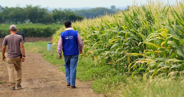 La reconversión productiva: un camino hacia la seguridad alimentaria