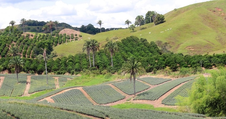 Reforma agraria pondrá lupa a la concentración y extranjerización de tierras productivas en Colombia
