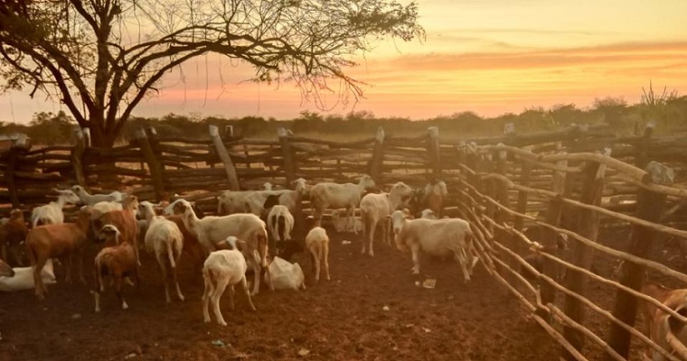 “Proteger los suelos para la producción de alimentos es vital”: Claudia Cortés
