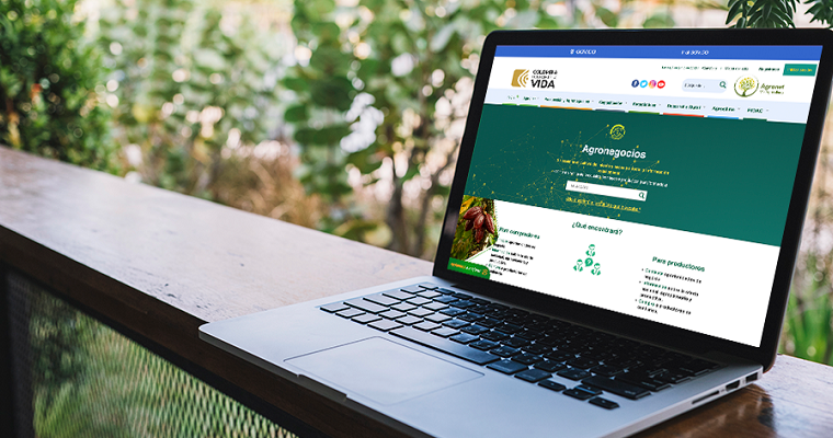 Conoce Agronegocios: la herramienta que conecta a los productores y compradores del sector agropecuario en Colombia