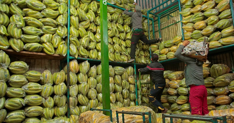 Pescados, carnes, tubérculos, raíces y plátanos los productos que más aumentaron el abastecimiento en junio del 2023