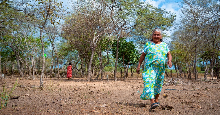 La agricultura familiar en Colombia se establece en más de 14 millones de hectáreas