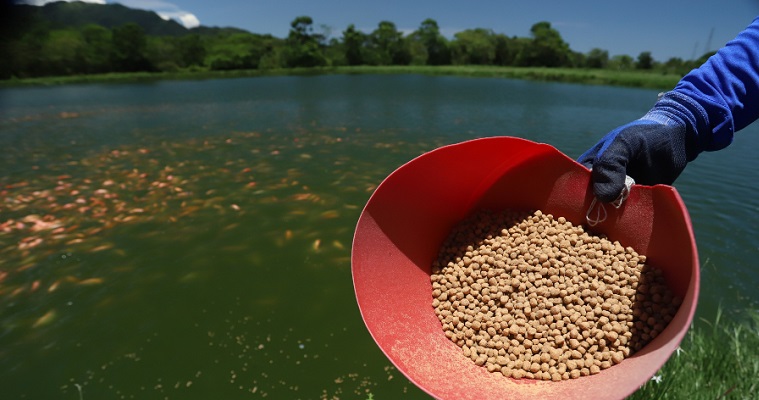 Con el Sipra, la Gobernación de Cundinamarca incentiva a más de 400 productores