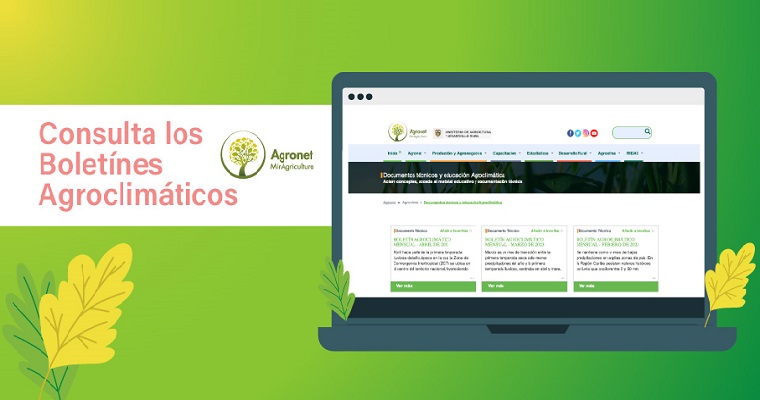 Regionales y nacionales: boletines agroclimáticos para tomar decisiones seguras en el campo