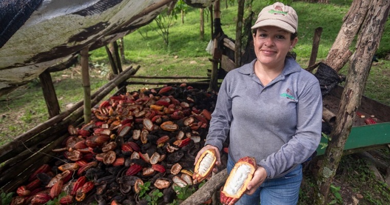 Los cacaoteros de Colombia apuestan a los mercados internacionales