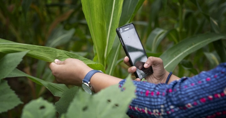 Agricultores a la vanguardia: uso de datos agrícolas para monitorear las promesas del G7 y el G20