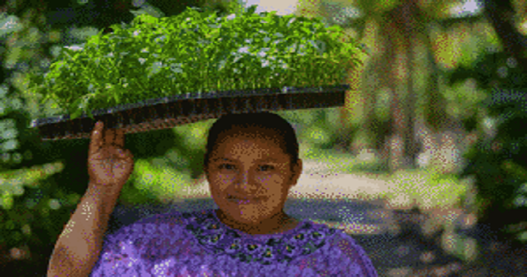Parlamentos de Iberoamérica se unen en favor de la igualdad de género y la seguridad alimentaria