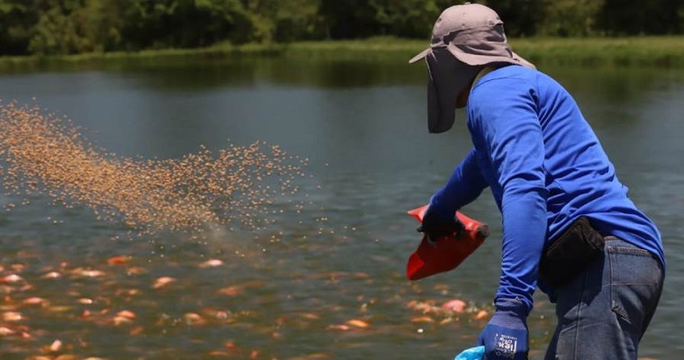Como pez en el agua avanza la formulación del Plan de Ordenamiento Productivo de la Cadena de Acuicultura