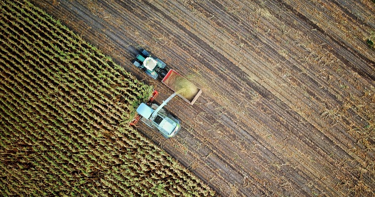 Construir un futuro con agricultura digital