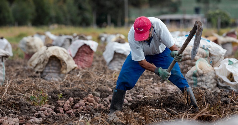 UPRA y Gobernación de Boyacá abordan metodología para identificar las áreas de protección para la producción de alimentos