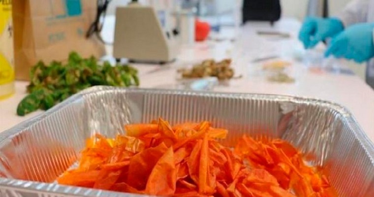 Crean un material con la piel del tomate que podría sustituir a los plásticos convencionales