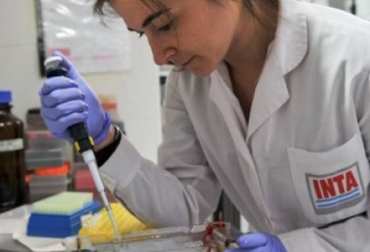 Argentina avanza en el desarrollo de una nueva vacuna antirrábica