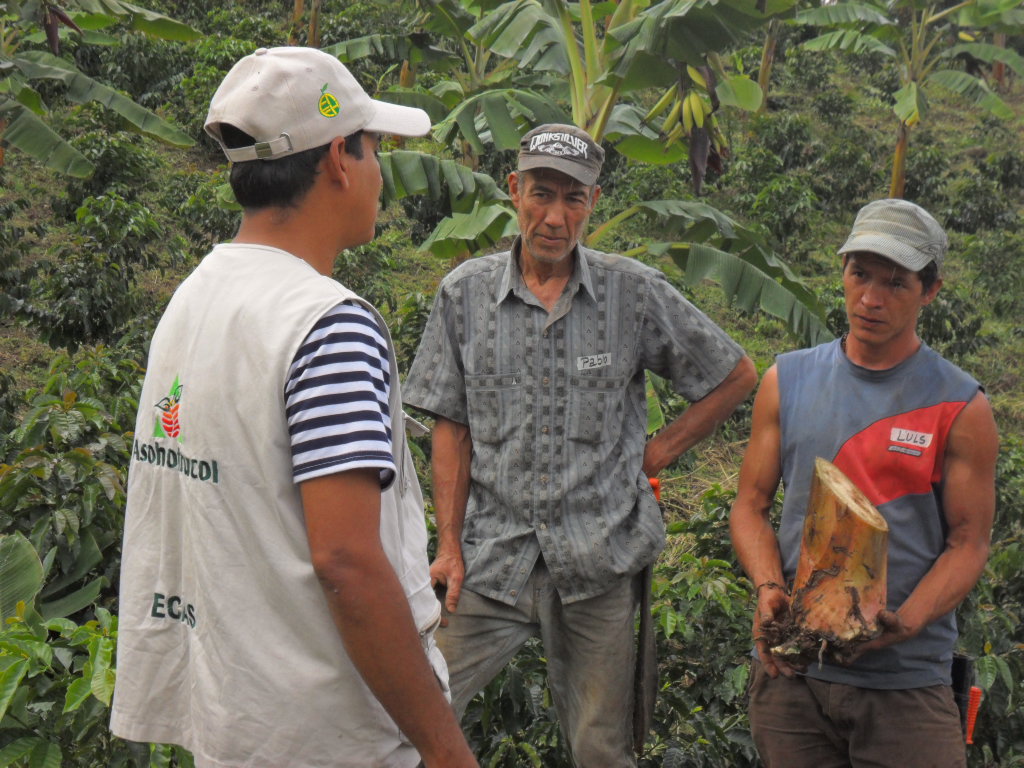 Asohofrucol Impulsa la Productividad del Sector de Frutas y Hortalizas en Colombia - 14 de Junio de 2013