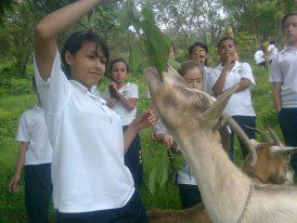 CONVOCATORIA ACCESO A LA EDUCACIÓN SUPERIOR JÓVENES RURALES - 03 de Julio de 2013
