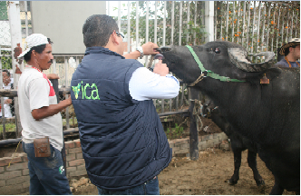 ICA Fija Normatividad Sanitaria y Fitosanitaria Para AGROEXPO 2013 - 05 de Julio de 2013