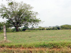 Hacienda Despojada por el "Clan Castaño" Vuelve a Manos de Campesinos de Córdoba - 06 de Septiembre de 2013