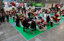 Treinta y seis Reconocimientos en Rusia 2013 - 13 de Septiembre de 2013