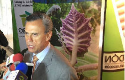 La Agricultura Colombiana Debe Someterse a un Gran Proceso de Reconversión - 30 de Septiembre de 2013