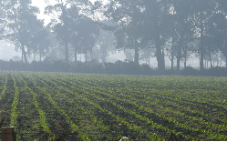 Comunicado Especial No. 037 IDEAM - 12 de Diciembre de 2013