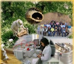 1er Seminario Sobre Calidad y Generación de Valor de Productos de las Abejas - 05 de Febrero de 2014 