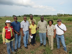 Corpoica Asesora a Jamaiquinos sobre Especies con Potencial para Sistemas Silvopastoriles - 21 de Mayo de 2014