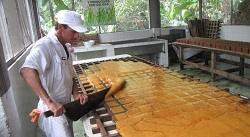 Corpoica Participará en 4 de los 5 Proyectos Aprobados para Nariño por el OCAD - 16 de Junio de 2014