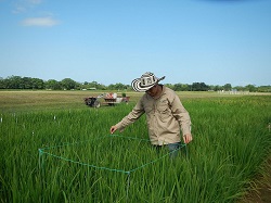 Proyecto de Adaptabilidad Climática Respaldado por MinAgricultura Recibe Reconocimiento de la ONU - 09 de Septiembre de 2014