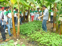 Corpoica Impulsa el Cultivo de la Batata en La Guajira - 15 de Septiembre de 2014